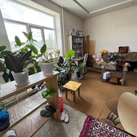 Emir Guest House In 카라콜 외부 사진